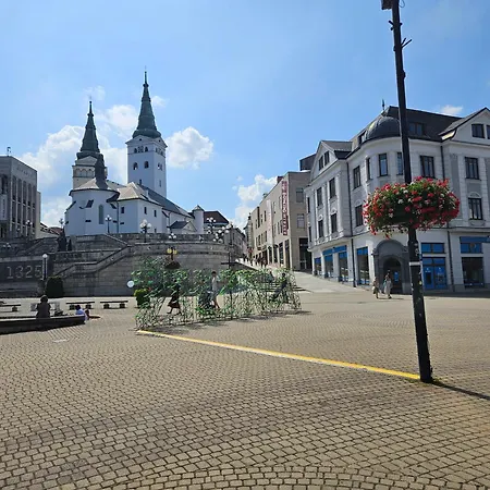 Uplne Novy Kvetinka V Centre Ziliny * 질리나