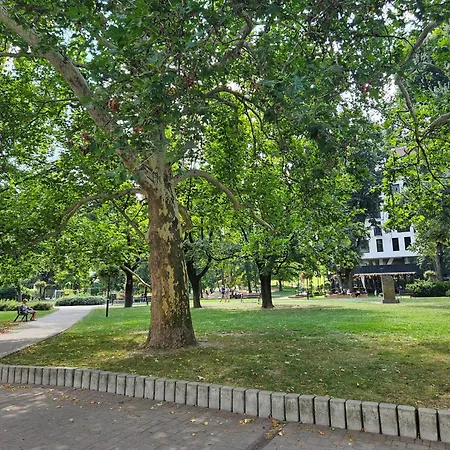 Appartement Uplne Novy Kvetinka V Centre Ziliny Žilina