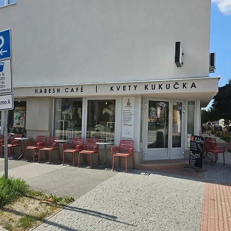 아파트 Uplne Novy Kvetinka V Centre Ziliny 질리나