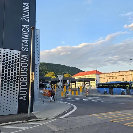 Kvetinka V Centre Ziliny S Kaviarnou Žilina