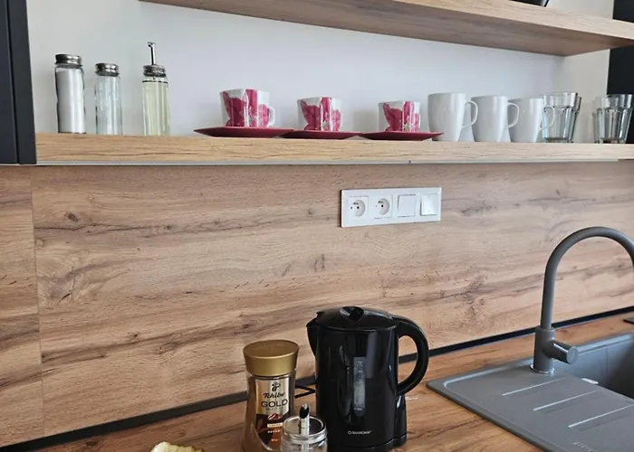 Uplne Novy Kvetinka V Centre Ziliny ジリナ