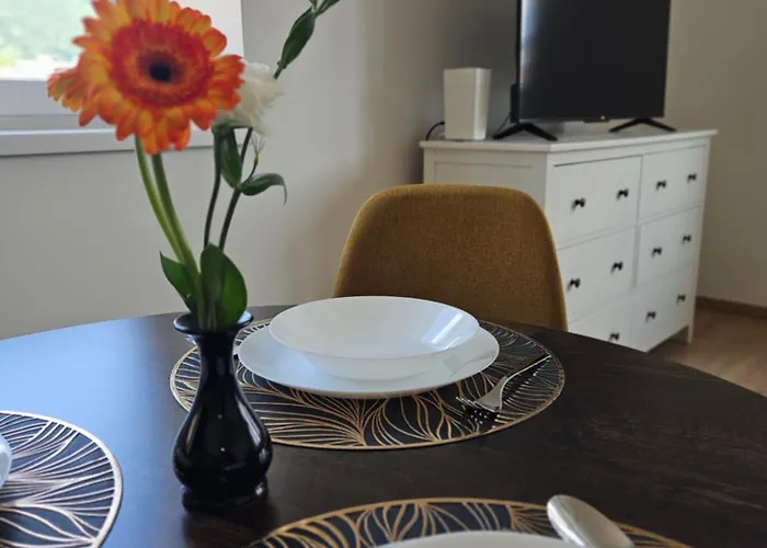 Uplne Novy Kvetinka V Centre Ziliny アパート *