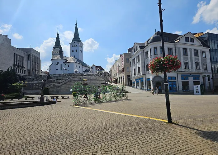 Uplne Novy Kvetinka V Centre Ziliny * ジリナ