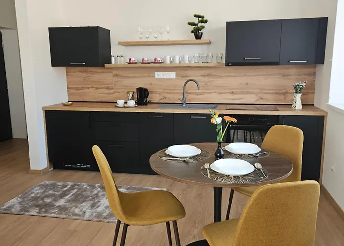 アパート Uplne Novy Kvetinka V Centre Ziliny ジリナ