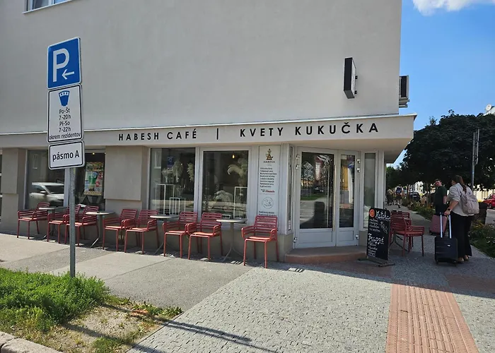 アパート Uplne Novy Kvetinka V Centre Ziliny ジリナ