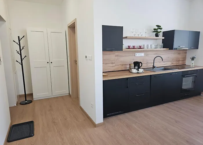 Uplne Novy Kvetinka V Centre Ziliny アパート ジリナ