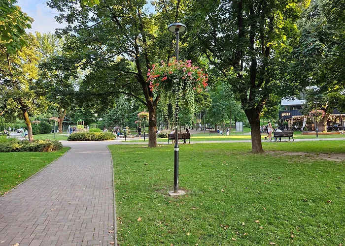 Uplne Novy Kvetinka V Centre Ziliny ジリナ